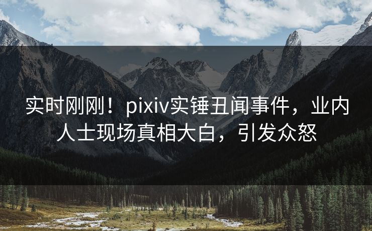 实时刚刚！pixiv实锤丑闻事件，业内人士现场真相大白，引发众怒