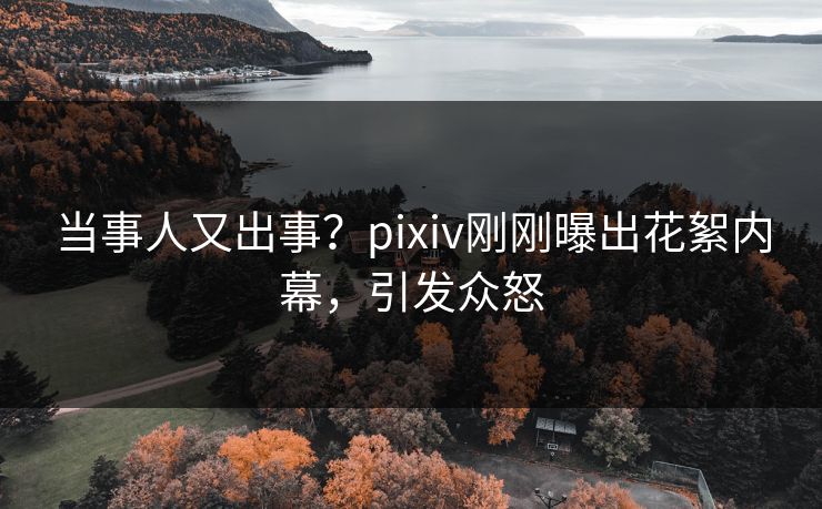 当事人又出事？pixiv刚刚曝出花絮内幕，引发众怒