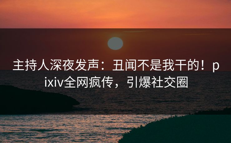 主持人深夜发声：丑闻不是我干的！pixiv全网疯传，引爆社交圈