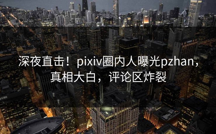 深夜直击！pixiv圈内人曝光pzhan，真相大白，评论区炸裂