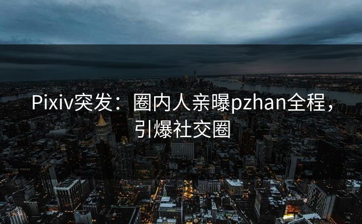 Pixiv突发：圈内人亲曝pzhan全程，引爆社交圈