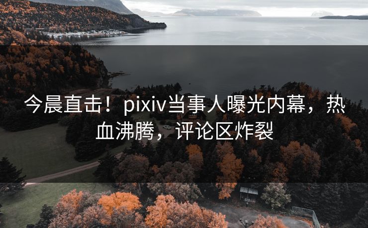 今晨直击！pixiv当事人曝光内幕，热血沸腾，评论区炸裂